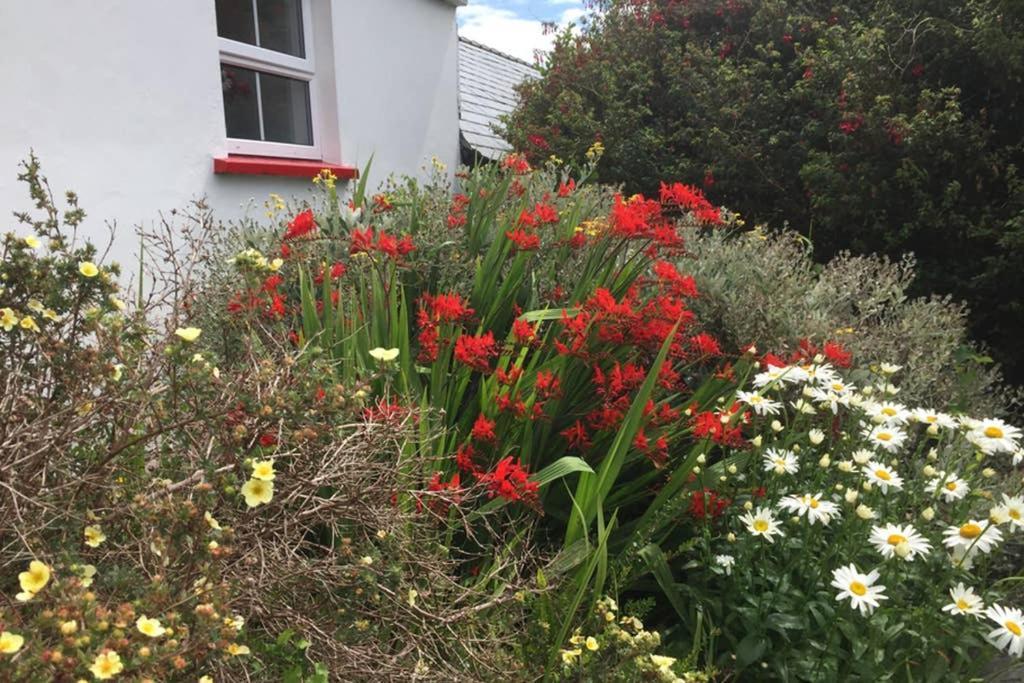 Red Stonecutters Cottage, Doolin Carrowauff Exteriér fotografie